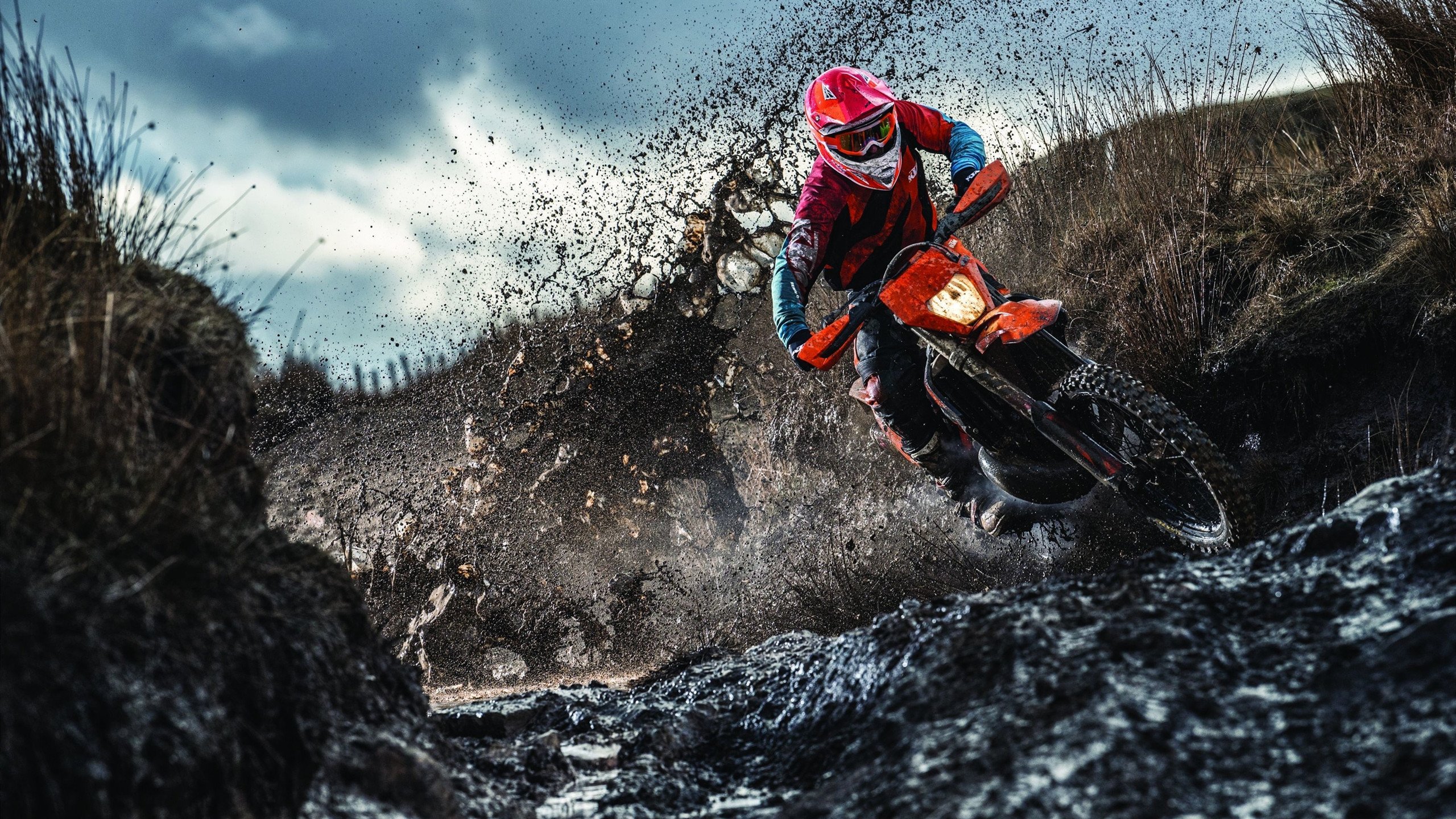 F1引擎轰鸣中的篮球教科书,杰伦·格林如何用街球智慧点亮不眠夜